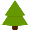 Penobscot Evergreens Christmas Tree Farm