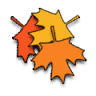 Maine Maple Products