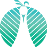 Maitri Medicinals Medical Marijuana Dispensary