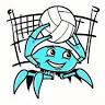 Mandurah Volleyball Association