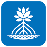 Mangrovia