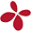Florist Flower Mania