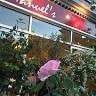Manuel's Italian and Mediterranean Restaurant and Bar