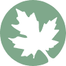 Maple Grove Dental, S.C. -- James C. Tauschek, DDS
