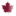 Maple Maze
