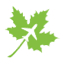 Maple Parking Southend Airport