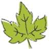 Maplewood Dental