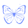 Mariposa Latin Inspired Grill
