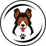 Dog and Cat Dental Care: Maroa Track Pet Hospital