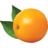 Societa' Agricola Maruca Export
