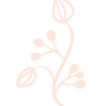 Maryann Designs Flowers