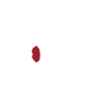 Masami Sushi
