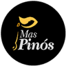 Mas Pinós Vallfogona del Ripollès