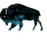 Massage Therapy of Buffalo