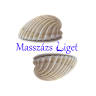 Masszazsliget