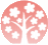 Matsue Sakura Law Office
