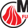 Mattsa Furnace Company S.A. de C.V.