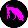 MAYA PETSHOP
