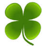 McCarthy Insurance Group