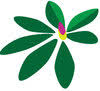 MCHP - Celo Health Center