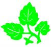 Meadowbrook Landscaping