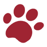 Meadowmont Animal Hospital