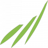 Gemeente Medemblik