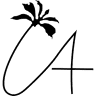 Designing Smiles Dentistry