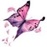 Mels Way Intuitive Treatments