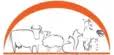 Mediapolis Veterinary Clinic