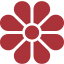 Xarcuteria Neus