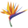 Mercy's Flowers