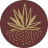Mesa Mezcal