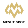 Mesut Spot