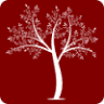 Mevi
