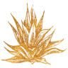 Mexican Sugar