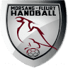 Morsang-Fleury Handball