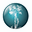 Miami Institute for Joint Reconstruction