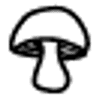 MICELIO.BIO S.A.
