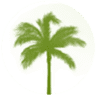 Mid Carolina Credit Union - Lugoff Branch Location