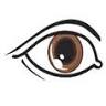 Middletown Eye Care PA