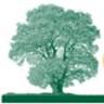 Gray Cosmetic & Family Dentistry