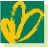 Midori Hospital