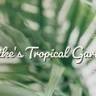 Mike's Tropical Garden