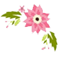 Milano's Uptowne Florist