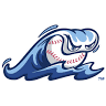 West Michigan Whitecaps