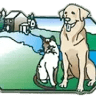 Mill Creek Veterinary Hospital