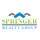 Springer Realty Group - Peter B Gustis - Berks / Montgomery / Chester County Realtor