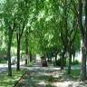 Millwood Park