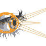 Mind's Eye Tattoo 2